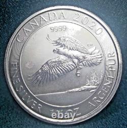 2020 pièce de 1,5 oz en argent fin de la Monnaie royale canadienne de 8 $ Série Faune Aigle à tête blanche