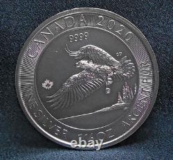 2020 pièce de 1,5 oz en argent fin de la Monnaie royale canadienne de 8 $ Série Faune Aigle à tête blanche
