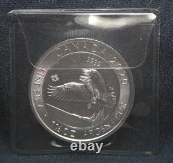 2020 pièce de 1,5 oz en argent fin de la Monnaie royale canadienne de 8 $ Série Faune Aigle à tête blanche