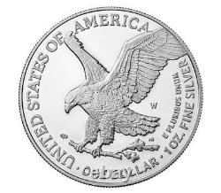 2022 American Eagle Proof 1oz. 999 Dollar D'argent Prêt À Expédier En Boîte Avec Coa