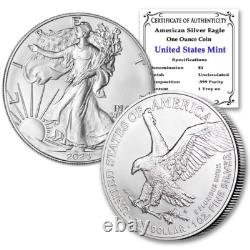 2024 Aigle en Argent Américain 1 oz Pièce BU Tube de 20