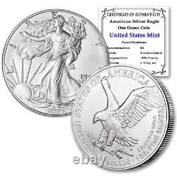 2024 Lot de (10) Pièces de monnaie en argent American Eagle d'une once, non circulées, état brillant