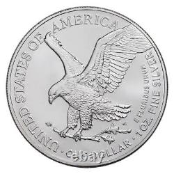 2024 Lot de 10 pièces d'une once American Silver Eagle BU