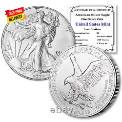 2024 Lot de (10) pièces en argent bullion American Eagle de 1 oz en état de brillance non circulé