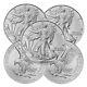 2024 Lot De 5 Pièces D'argent American Silver Eagle De 1 Once Bu