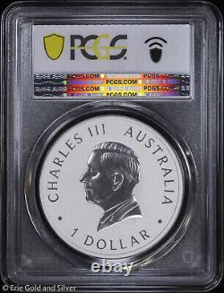 2024-P125 1 $ Australie 1 oz Argent Aigle à queue en coin 10e anniversaire PCGS MS 70