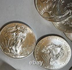 20 2013 American Silver Eagle $1 Pièces Unc Dans Le Tube De Menthe Américain One Troy Oz. 999 Amende