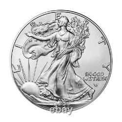(20) 2023 1 Oz. American Silver Eagle Coins De U.s. Menthe Dans Un Tube Scellé
