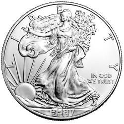20 Pièce De Monnaie Américaine Non Brillante Brillante American Eagle De 1 Oz En 2013 Dans Un Tube De Menthe