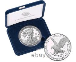 250e anniversaire du Corps des Marines des États-Unis Pièce en argent de 1 oz aigle américain avec marque en main