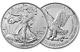 (5) 2025 American Silver Eagle 1 Oz. Pièce Prévente Expédition Commence Le 21/01/25