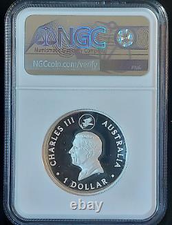 Aigle à queue en coin 2024 10e anniversaire 1oz Argent Proof relief élevé doré, Monnaie de Perth