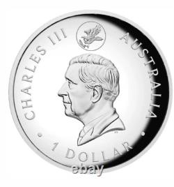 Aigle à queue en coin 2024 10e anniversaire 1oz Argent Proof relief élevé doré, Monnaie de Perth