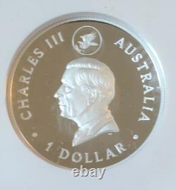 Aigle à queue en coin 2024 10e anniversaire 1oz Argent Proof relief élevé doré, Monnaie de Perth