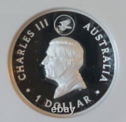 Aigle à queue en coin 2024 10e anniversaire 1oz Argent Proof relief élevé doré, Monnaie de Perth