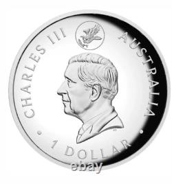 Aigle à queue en coin 2024 10e anniversaire 1oz argent preuve haute relief doré, Monnaie de Perth