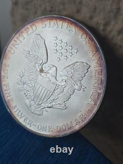 Aigle d’argent West Point 2000, 1 oz, argent fin 999, ton naturel, beauté colorée