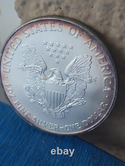 Aigle d’argent West Point 2000, 1 oz, argent fin 999, ton naturel, beauté colorée