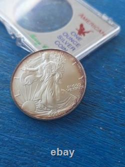 Aigle d’argent West Point 2000, 1 oz, argent fin 999, ton naturel, beauté colorée