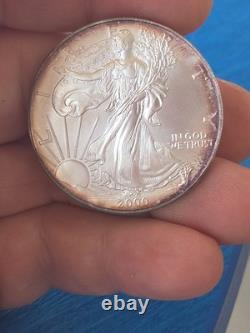 Aigle d’argent West Point 2000, 1 oz, argent fin 999, ton naturel, beauté colorée