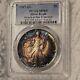 Aigle En Argent Américain $1 S De 1987 Tonné Pcgs Ms65 Monster Toning. Des Deux Côtés