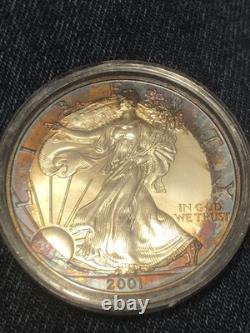 Aigle en Argent Américain 2001 1 Oz avec Patine Arc-en-Ciel