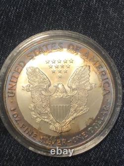 Aigle en Argent Américain 2001 1 Oz avec Patine Arc-en-Ciel
