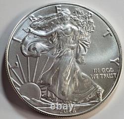 Aigle en Argent Américain 2016 de 1 $, 30e Anniversaire Sorti Rapidement du Tube de la Monnaie