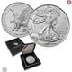 Aigle En Argent 2024 $1 Édition Brillante Non Circulée Monnaie Des États-unis