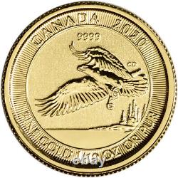 Aigle royal d'or du Canada 2020 1/10 oz 5 $ BU