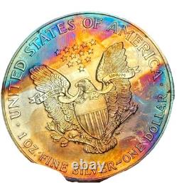 Album tondeur d'American Silver Eagle de 1996