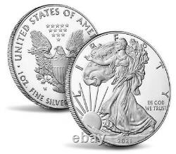 American Eagle 2021 Pièce D'épreuve D'argent One Ounce 21ea Type 1 Ogp Us Mint
