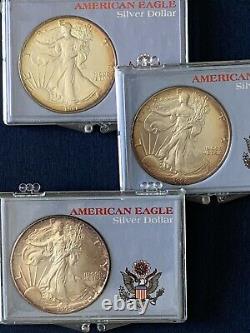 American Silver Eagle-lot De 3 Ans 1991, 1992, 1993 / Rainbow Rim Toning