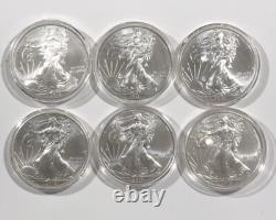Collection de 30 pièces de l'American Silver Eagle. 1986-2015. Toutes en qualité éclatante non circulée.