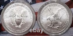 Ensemble RARE de pièces de monnaie américaines 2021 Silver Eagle Type 1 & 2 PCGS MS70 FS avec cadre aux couleurs du drapeau