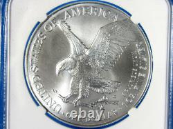 Ensemble de 2 pièces 2024&25 (P), aigle en argent avec étoile et marques d'aigle NGC Ms 70 FDOI Gaud