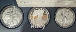 Ensemble du 25e anniversaire de 5 pièces Silver Eagle 2011 avec boîte et certificat d'authenticité, PR, Rev PR, S, W, P #X8
