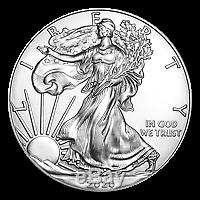 Lot De 100 X 1 Oz 2020 American Eagle Silver Coin
