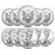 Lot De 10 Pièces D'argent Sterling 2019 American Eagle De 1 Oz