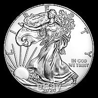 Lot De 20 X 1 Oz 2020 American Eagle Silver Coin
