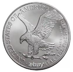 Lot de 10 2024 $1 American Silver Eagle 1 oz BU