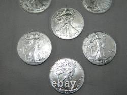 Lot de 10 2024 $1 American Silver Eagle 1 oz BU. Expédié dans le tube de frappe montré