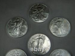 Lot de 10 2024 $1 American Silver Eagle 1 oz BU. Expédié dans le tube de frappe montré