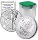 Lot De 10 2024 $1 American Silver Eagle 1 Oz Gem Bu 10 Ozs Tube D'aigle Gratuit