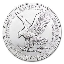 Lot de 10 American Eagle en argent 1oz 2024 Non circulé dans un tube avec certificat d'authenticité