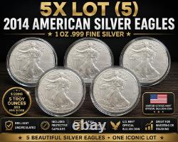 Lot de 5 American Silver Eagles 2014 BU 1 oz troy d’argent fin 999 avec capsules