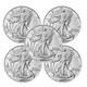 Lot De 5 Pi&egrave;ces American Silver Eagle 2025 De 1 Oz &agrave; L&rsquo;&eacute;tat Bu, 1 $ Am&eacute;ricaines