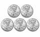 Lot De 5 Pièces American Silver Eagle De 1 Once En Argent 2023, Neuves Dans Des Capsules