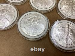 Lot de 8 pièces d’argent American Silver Eagle de 1 oz, États-Unis, 2005