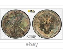 MS65 Dollar American Silver Eagle 2000, PCGS TrueView, patine arc-en-ciel foncée ?